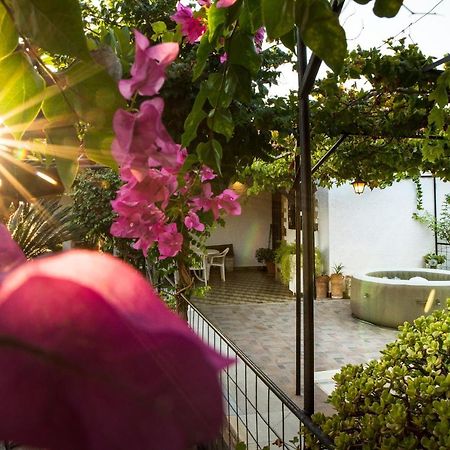 Villa Agia Paraskevi Ialysos  Exteriér fotografie